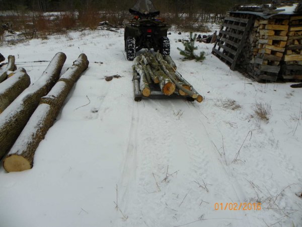 Log load 1-2-16.JPG