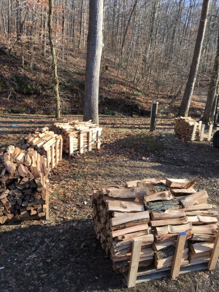 Some sugar maple today | Firewood Hoarders Club