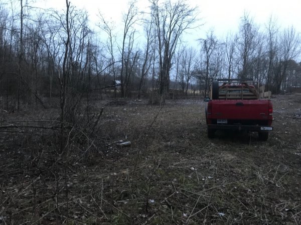 Walnut clearing.jpg