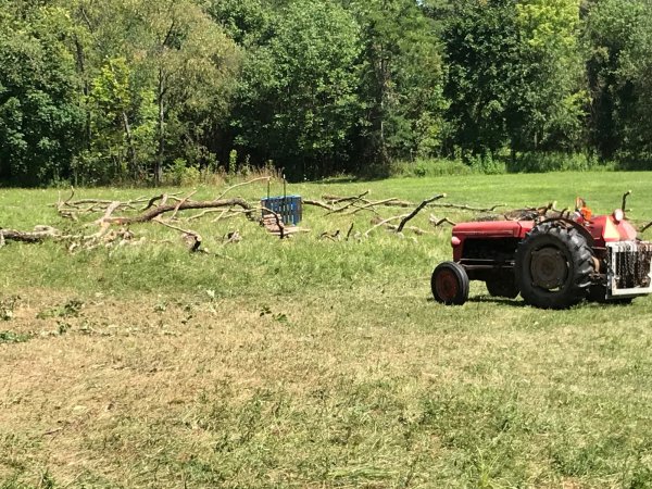 Aug3 wood to cut.jpg