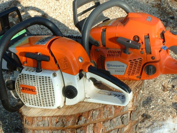 028 and backyard 001.JPG