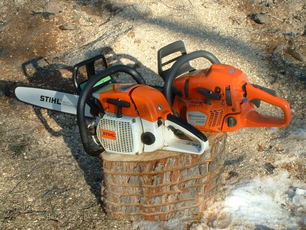 028 and backyard 003.JPG