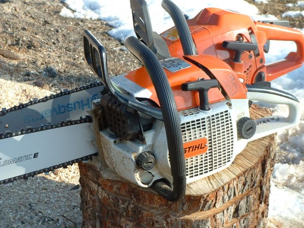 028 and backyard 002.JPG