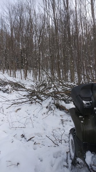 20191221_155208.jpg
