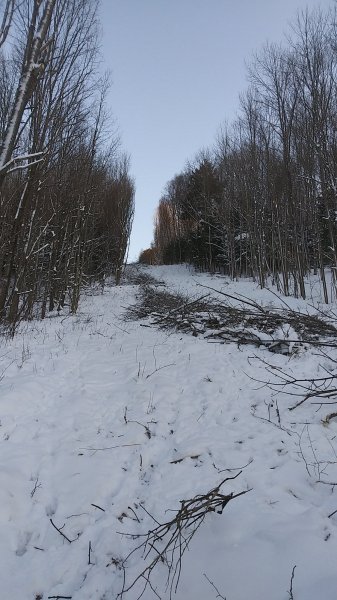 20191221_155211.jpg