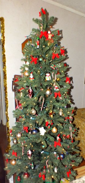 christmas-tree-2019.jpg