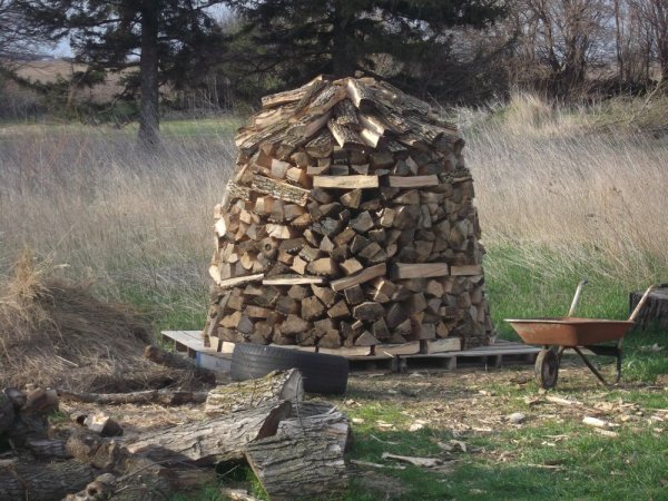 2014 Holz Hausen 009.jpg