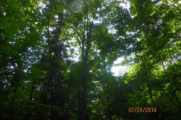 100_9651.JPG