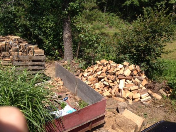 Wood Pile.jpeg
