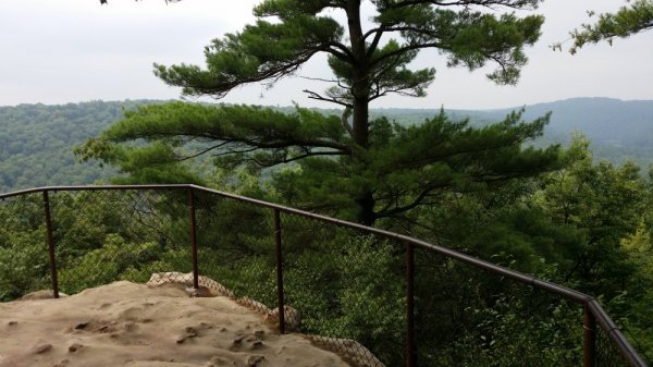 20140723_115600.jpg