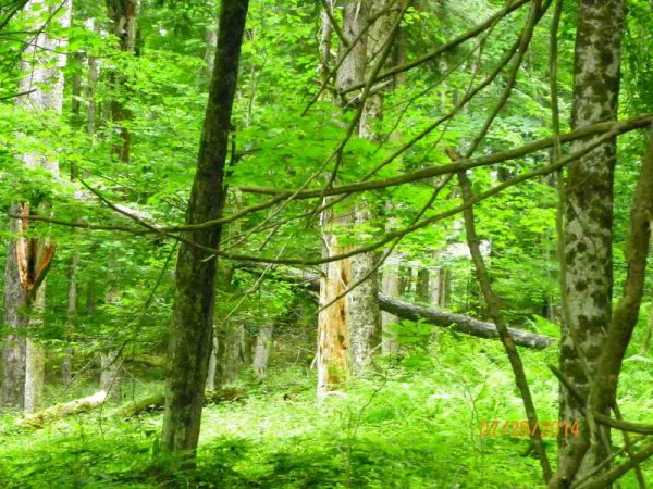 100_9666.JPG