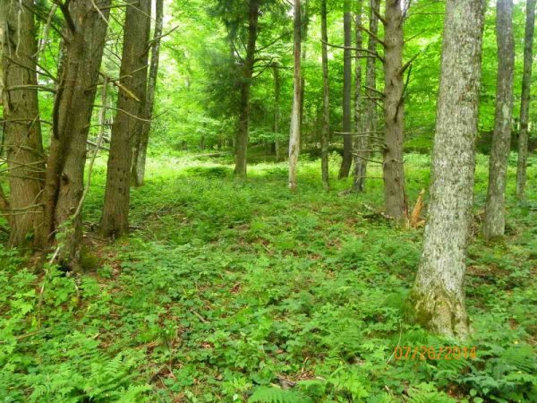 100_9667.JPG