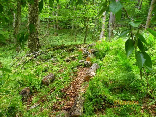100_9676.JPG