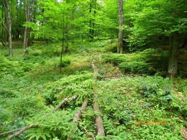 100_9673.JPG