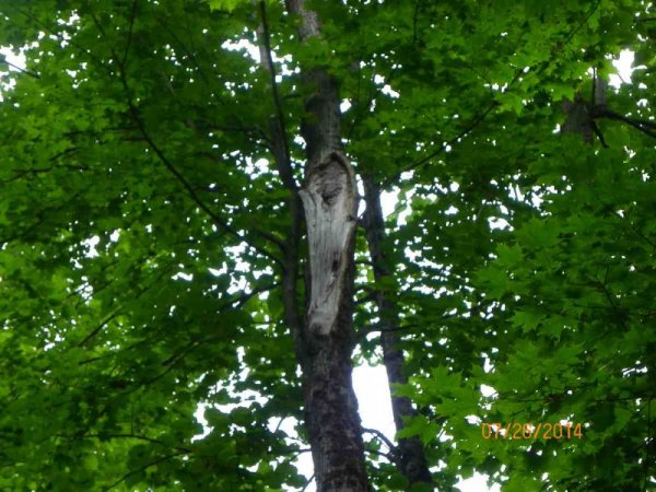 100_9674.JPG