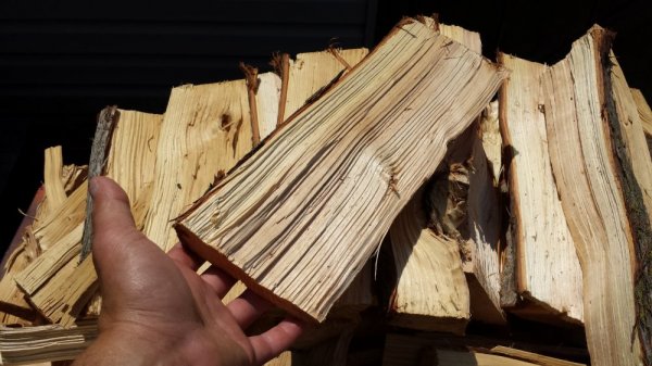 20140727_130554.jpg