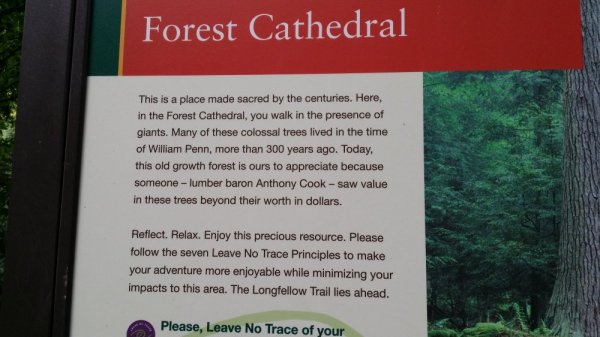 20140722_185805.jpg