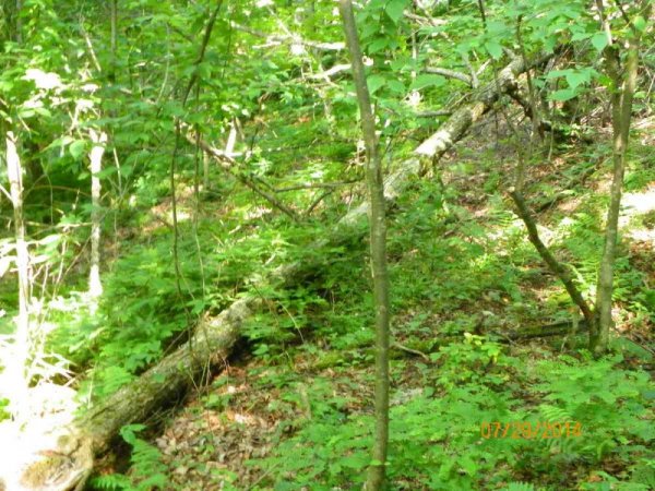 100_9723.JPG