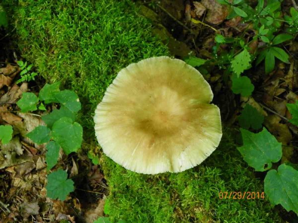 100_9726.JPG