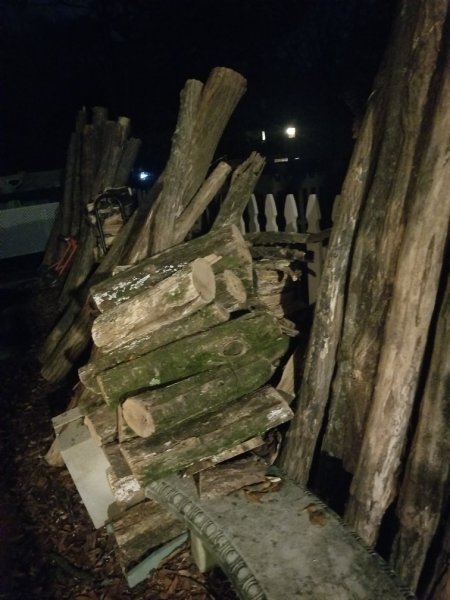 old locust poles.jpg