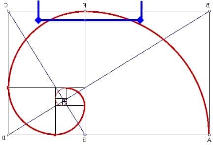 golden-ratio-curve-with-overlay-2 (2).jpg