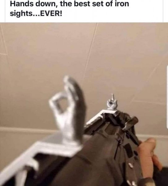 Iron sights.jpg