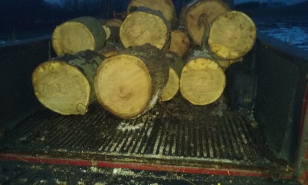 20200123_175101.jpg