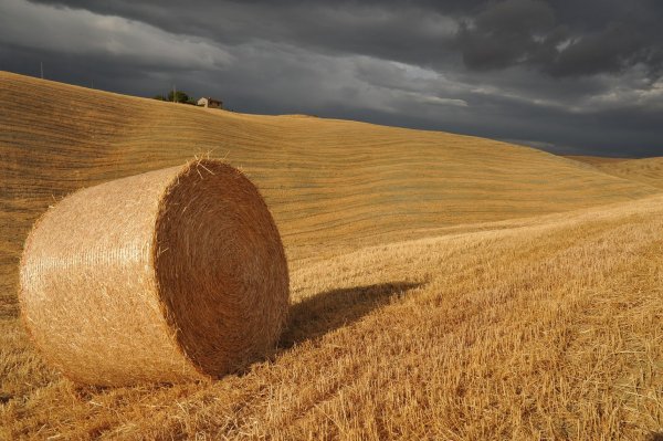 In-Val-dOrcia.jpg