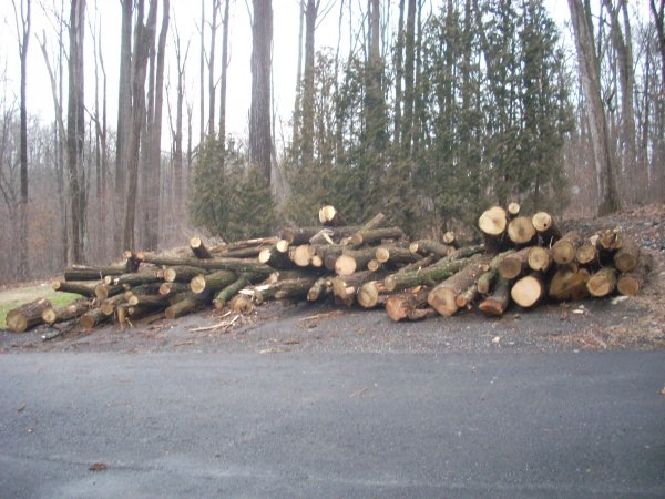 DSCN0306.JPG