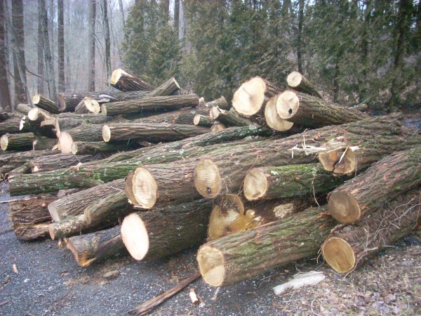 DSCN0307.JPG