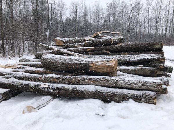 Wood 2.jpg