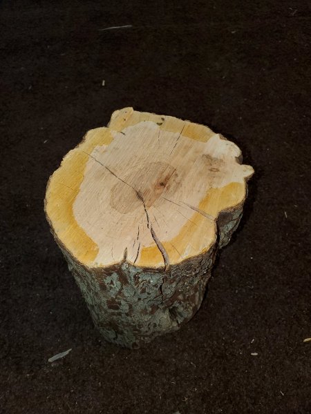 20200216_170315 (1).jpg