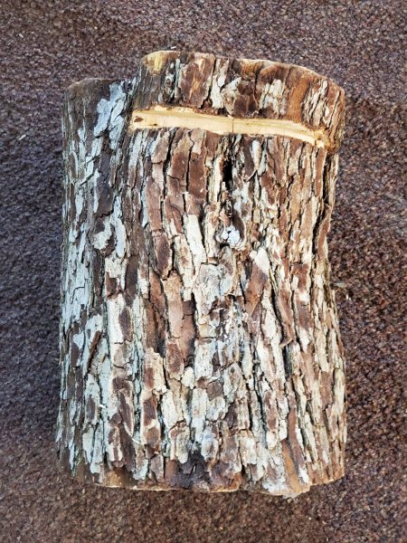 20200216_170228 (1).jpg