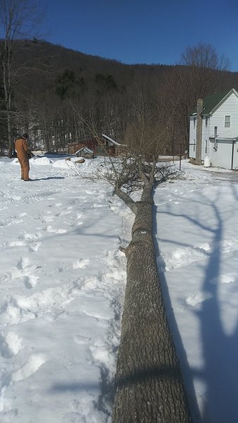 20200222_124936.jpg
