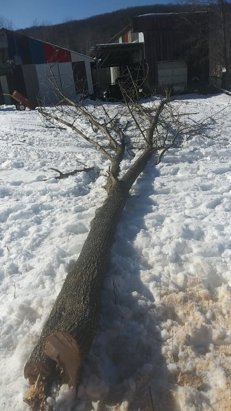 20200222_135816.jpg