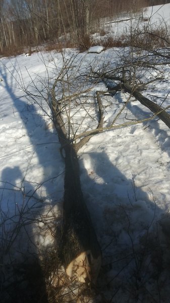 20200223_144555_HDR.jpg
