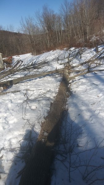 20200223_144702.jpg