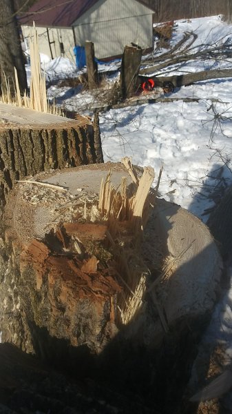 20200223_144650_HDR.jpg