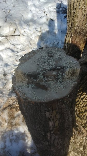 20200223_144643_HDR.jpg