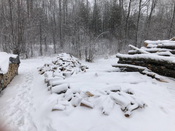 Wood 4.jpg