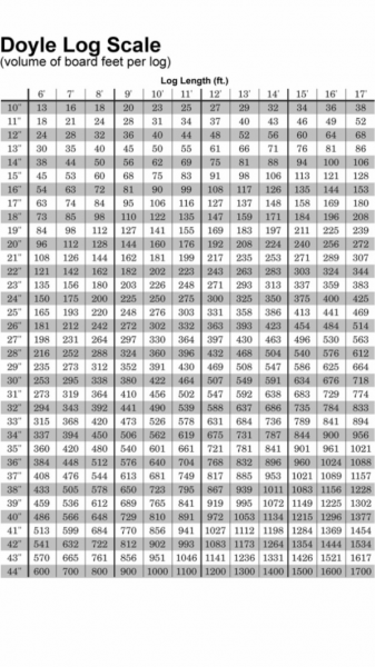 56E460B1-15FD-4504-BB06-D4DDBEAD1FC8.png
