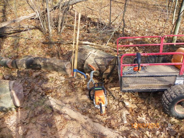 Wood cutting 2015a.JPG