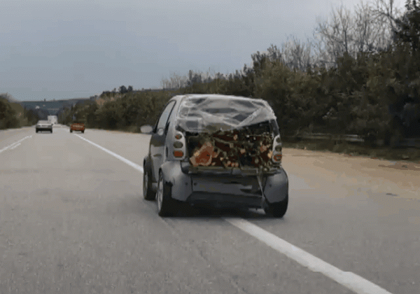 daily_gifdump_3271_02.gif