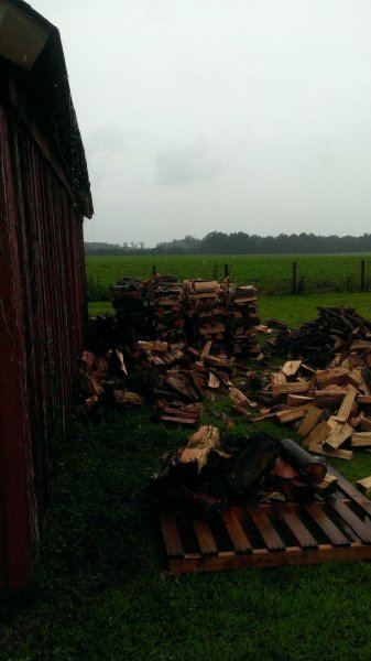 IMAG0705.jpg