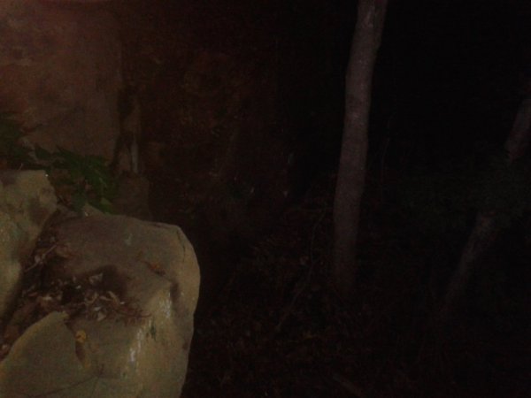 20140802_230253.jpg