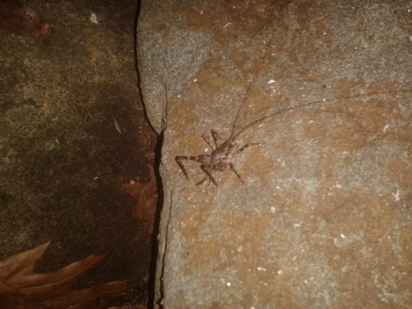 20140802_231325.jpg