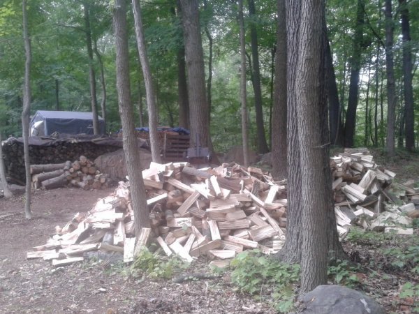20140803_152445.jpg