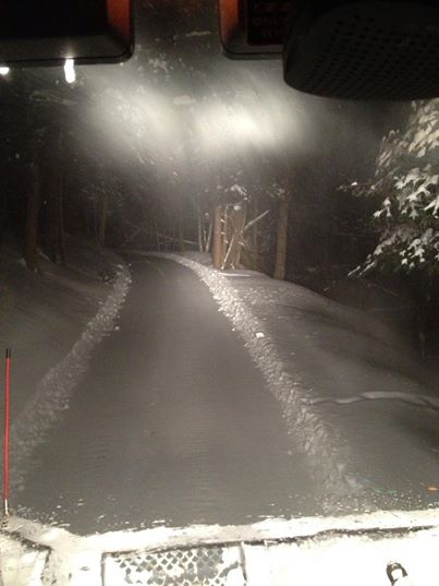 trail.jpg