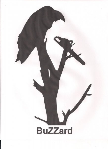BuZZard.jpg