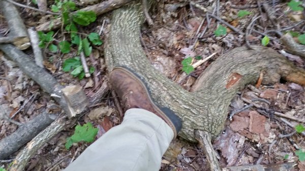 20190830_160119.jpg